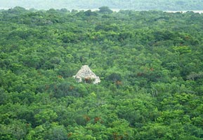 Coba Mexico